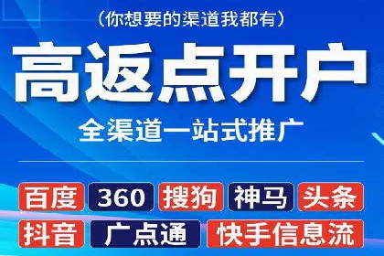 百度广告投放策略：成功案例解析